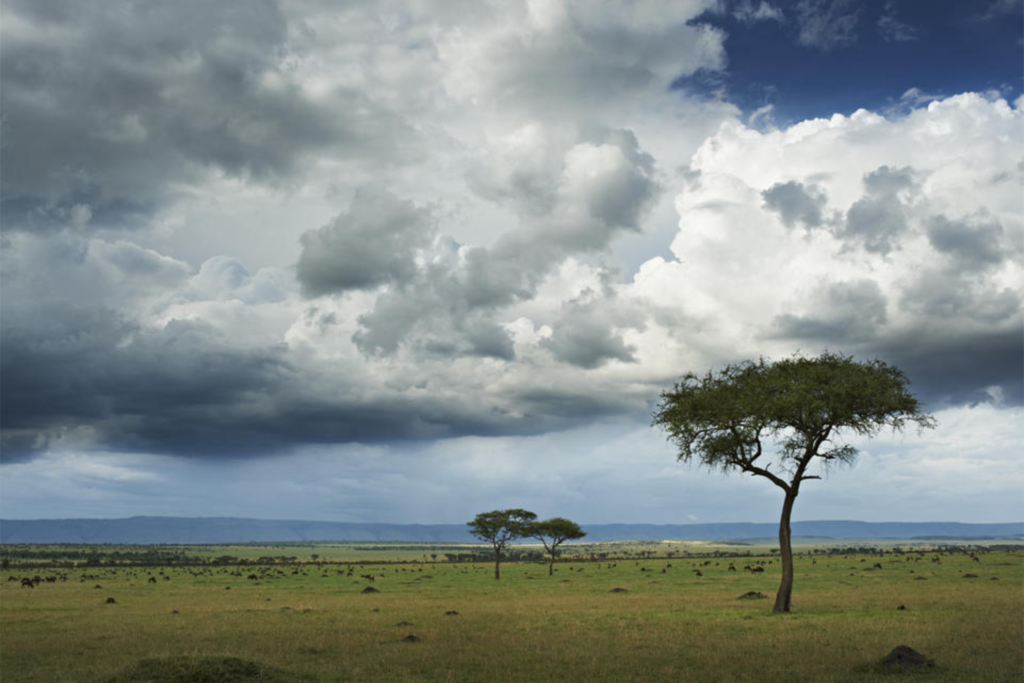 Arusha → Tarangire National Park 