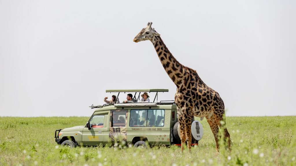 Full Day — Ndutu  