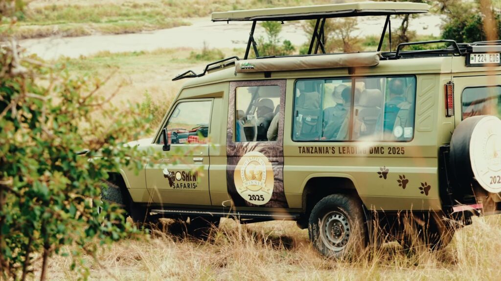 Full Day — Central Serengeti