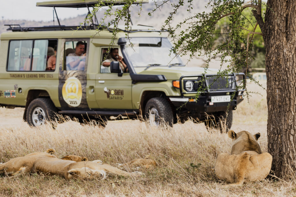 Full Day — Central Serengeti   