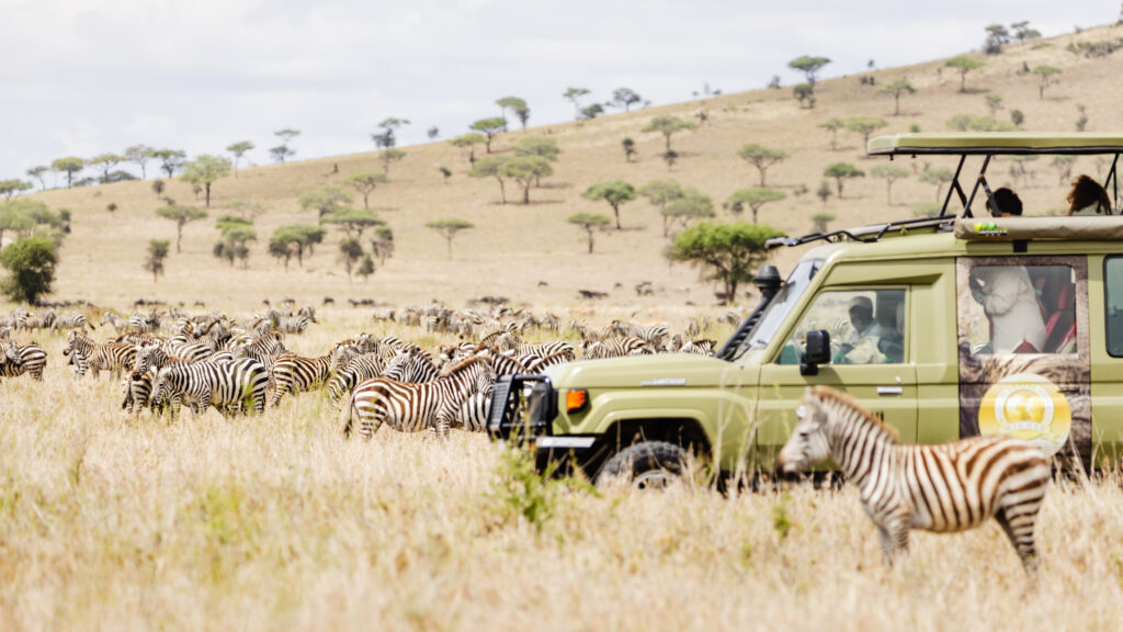 Full Day — Serengeti + Complimentary Bush Dinner   