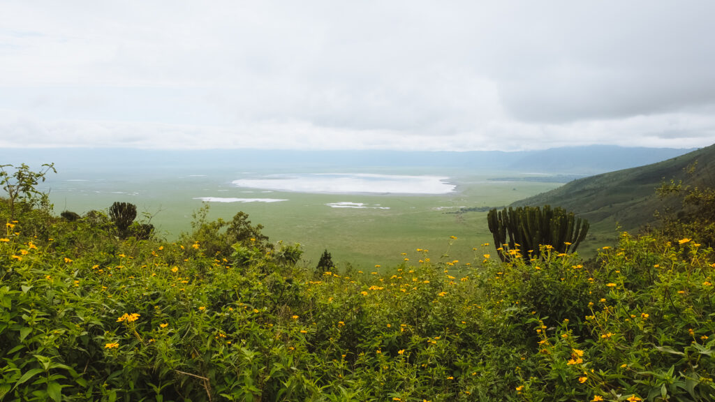 Tarangire → Ngorongoro Crater 