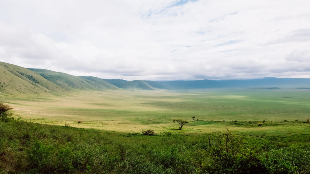 Ngorongoro Crater   