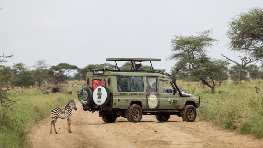Full Day at Serengeti